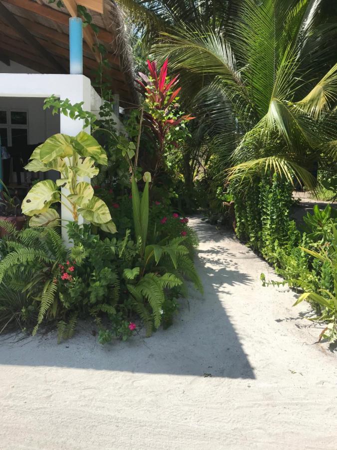 Malas Island View Fulidhoo Dış mekan fotoğraf