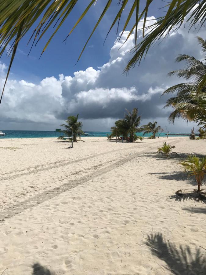 Malas Island View Fulidhoo Dış mekan fotoğraf
