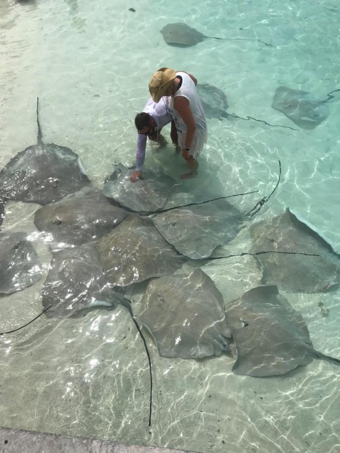 Malas Island View Fulidhoo Dış mekan fotoğraf