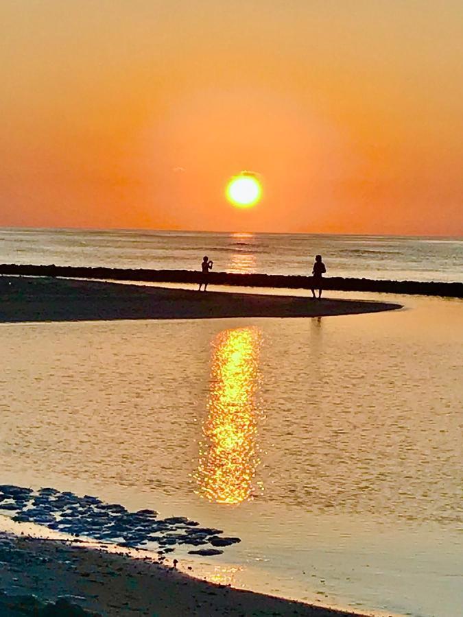 Malas Island View Fulidhoo Dış mekan fotoğraf