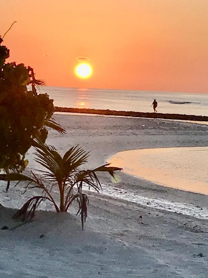 Malas Island View Fulidhoo Dış mekan fotoğraf